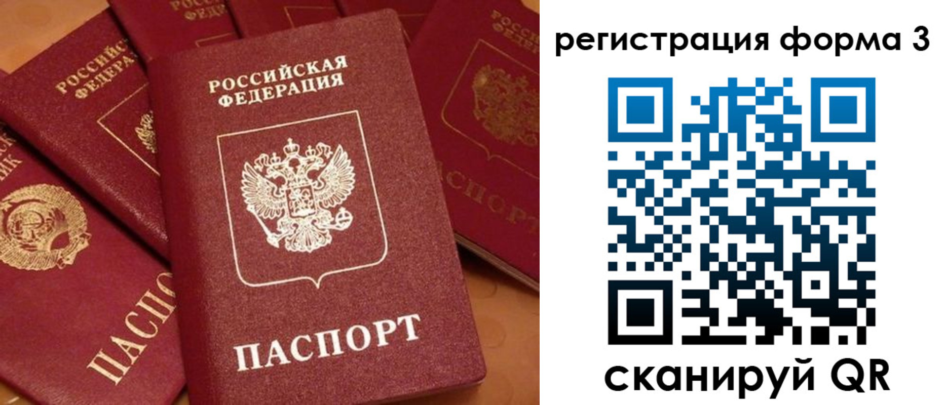 прописка для школы в Хабаровске